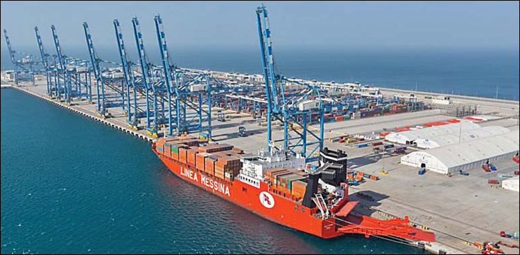 PQA revenue increases by 29pc in 2020-21: Ali Zaidi