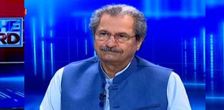 PTI to move court against police torture, fake cases during Azadi March