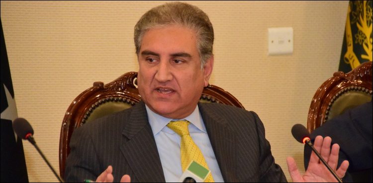 Qureshi details diplomatic victories of Pakistan on Kashmir issue