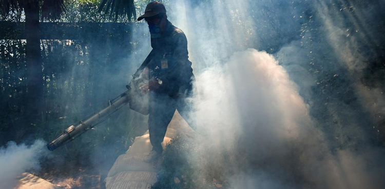 WHO says eradicating malaria 'can be done'