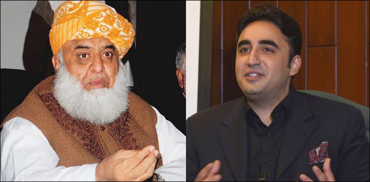 Bilawal, Fazl discuss APC and political situation