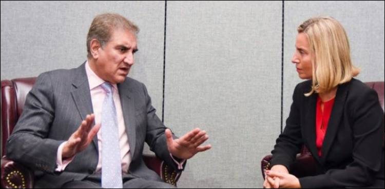 FM Qureshi urges EU to take notice of Kashmir’s situation