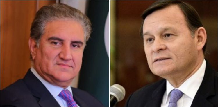 Qureshi apprises foreign ministers of Dominican Republic, Peru on Kashmir situation