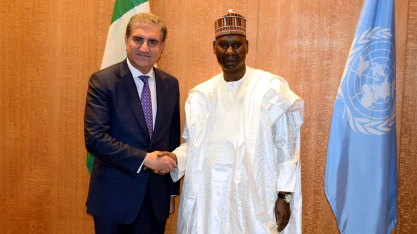 Qureshi talks about poverty alleviation with president of UNGA session