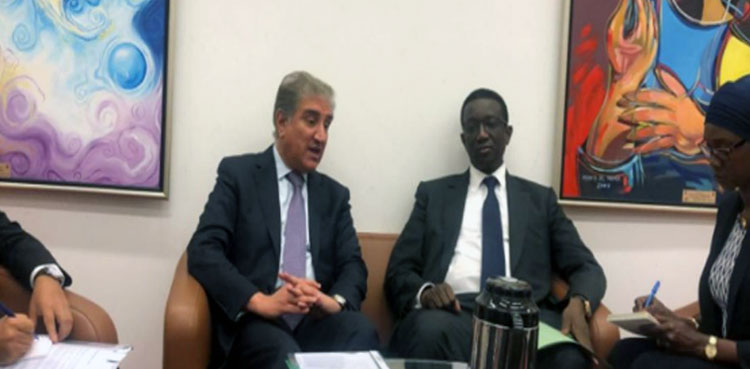 FM Qureshi apprises Senegalese counterparts of Indian atrocities in IOJ&K