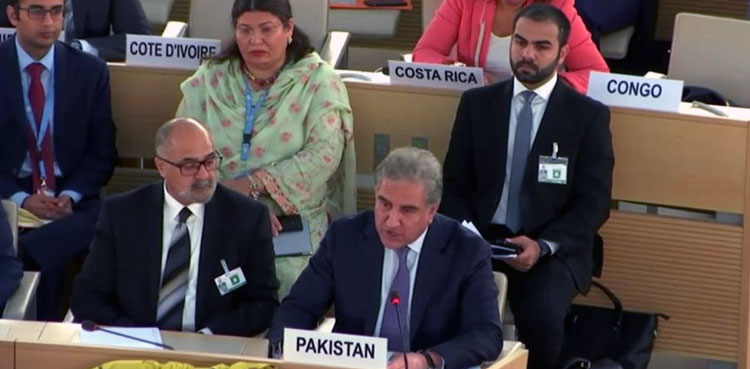58 nations supported Pakistan's stance on occupied Kashmir: FM Qureshi