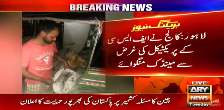 No, dead frogs were not being supplied to restaurants in Lahore