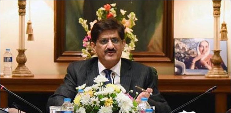 Murad to raise Chashma-Jhelum hydel project issue in upcoming CCI meeting