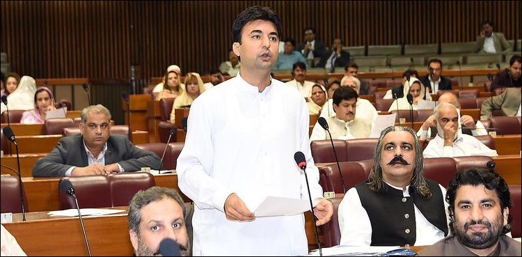 NAB is an independent institution, functioning as per its laws: Murad Saeed