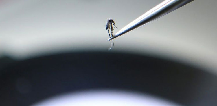 NASA pioneers malaria-predicting tech in Myanmar