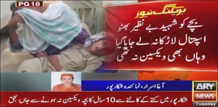 Minor boy dies of rabies as govt hospitals run out of vaccine