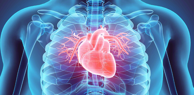 Fewer cardiovascular events seen in diabetics after weight-loss surgery