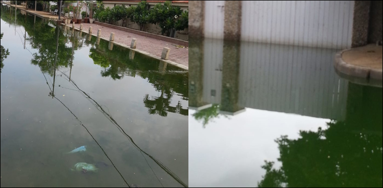 Yet another sewerage line found 'deliberately' clogged in Clifton