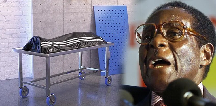 Was Mugabe's body wrapped in an Adidas body bag?