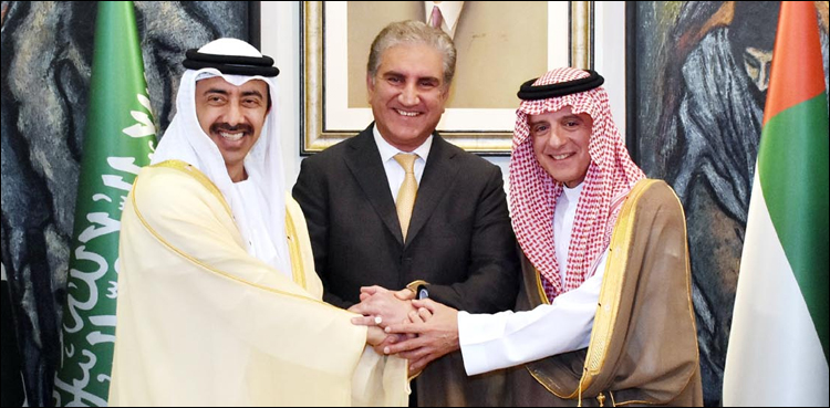 FM Qureshi hopeful Saudi Arabia, UAE won't disappoint Pakistan