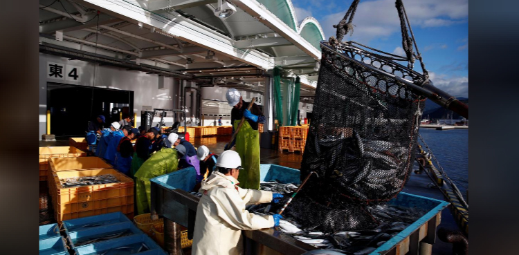 Tsunami-hit town gets ready to welcome the world