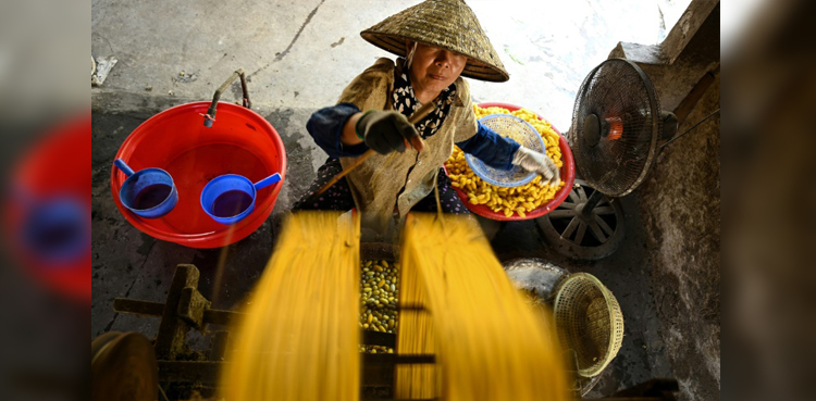 Keeping the thread alive at a Vietnam silk village