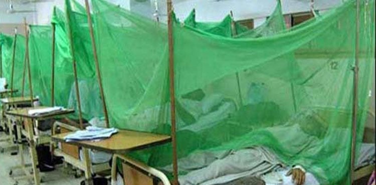 Dengue claims one more life in Rawalpindi