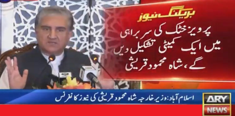 Govt to form committee for talks with JUI-F: FM Qureshi