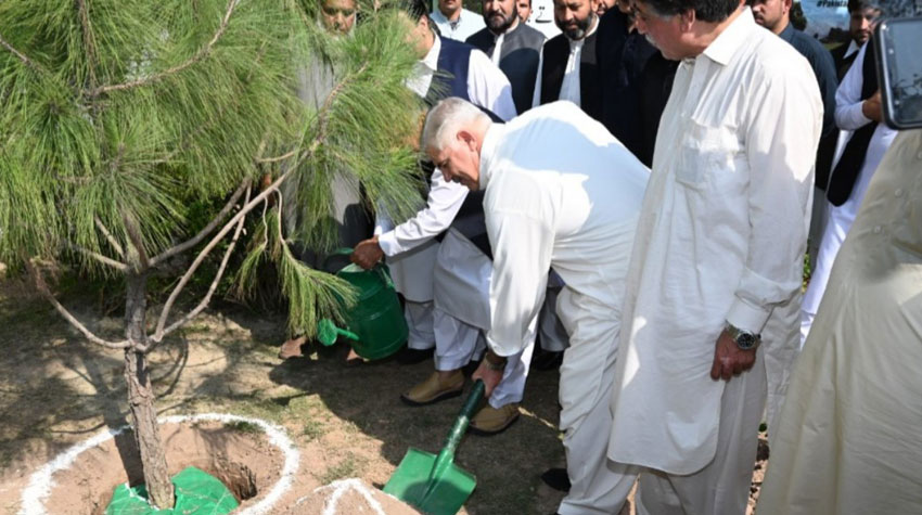 CM Mahmood plants sapling in Peshawar to express solidarity with Kashmiris