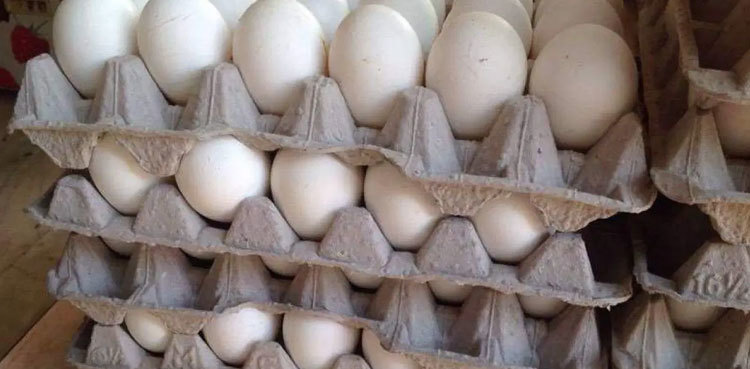 Egg prices soar to Rs400/ dozen in Lahore