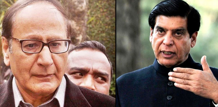Raja Pervez, Chaudhry Shujaat discuss country's political situation