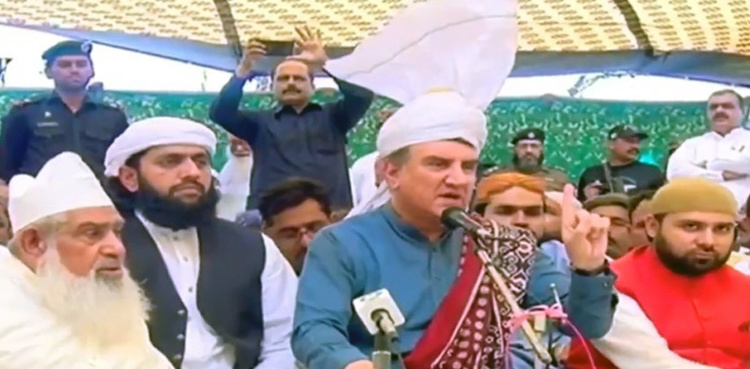 Will exhaust all options, go to any extent for Kashmiris: FM Qureshi