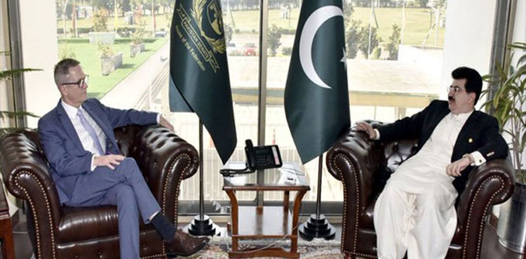 Senate chairman urges Australian investors to invest in Gwadar