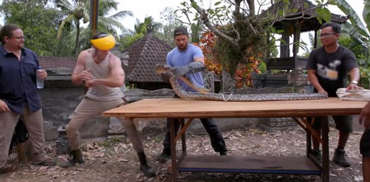 Terrifying video of scientist that allows six-foot python bite him