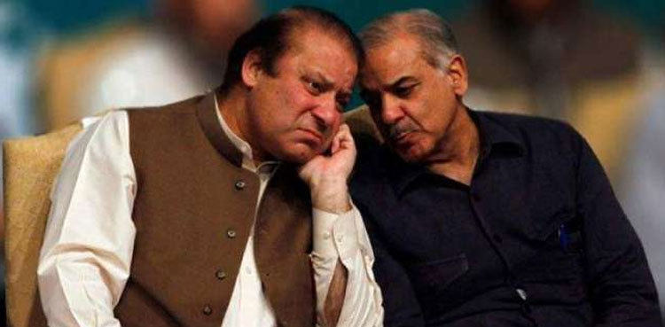 Shehbaz Sharif meets Nawaz, apprises him of meeting with Fazl