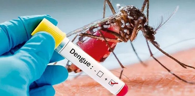 Two more die in Rawalpindi due to dengue virus
