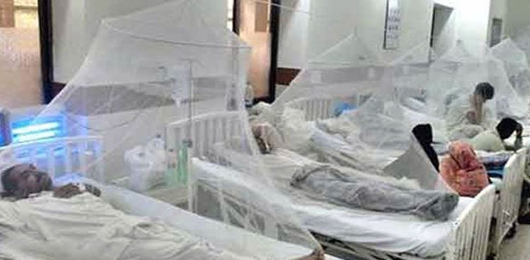2,823 dengue cases reported from Balochistan this year