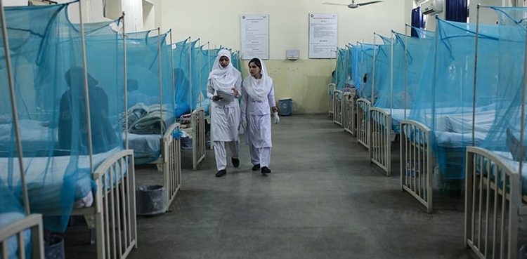 Punjab reports four dengue fever deaths, 277 new cases