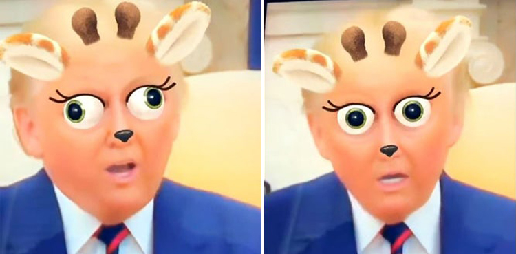 This Snapchat filter on President Donald Trump looks hilarious