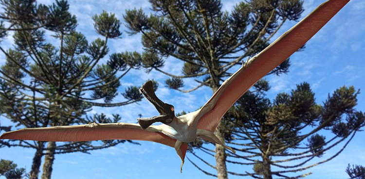 'Iron dragon' soared over Australia