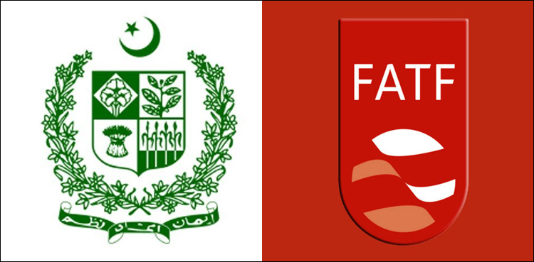'FATF Cell' established in interior ministry to help complete action plan