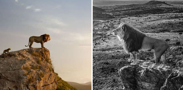Photographer recreates 'Lion King' Mufasa's famous gaze over Pride Rock