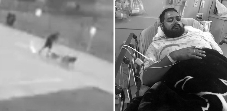 Man struck by lightning while walking dogs in Texas