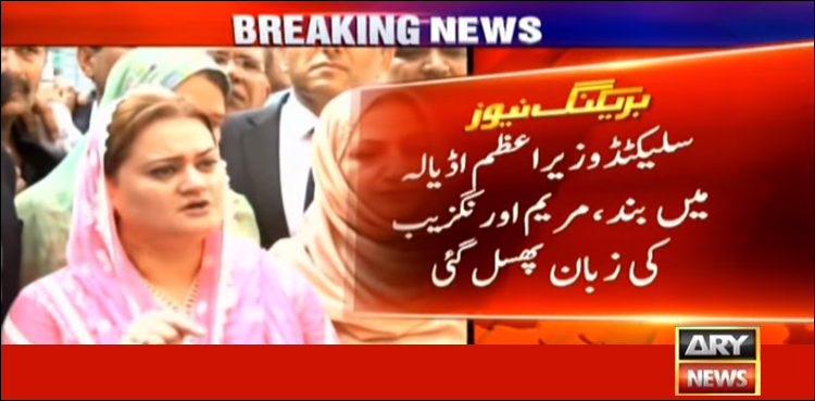 Slip of tongue: PML-N's Marriyum Aurangzeb calls own leader 'incompetent'