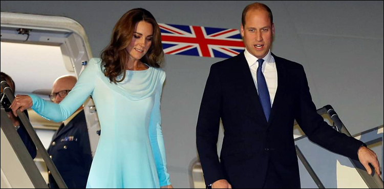 Shortlist revealed for Prince William environment prize