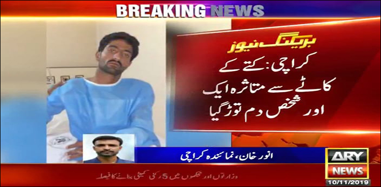 Teenage boy dies from dog bite in Karachi, tally rises to 22