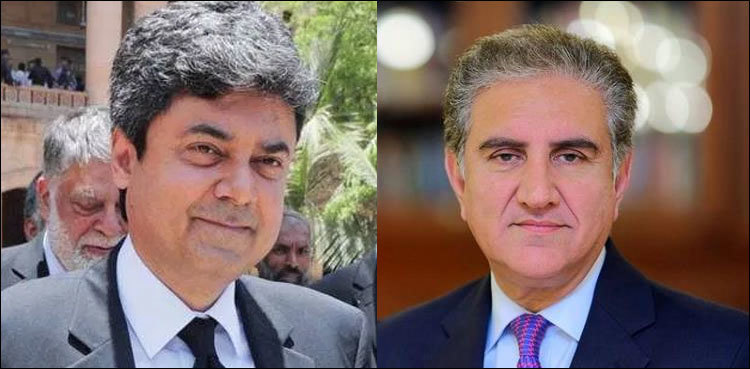 Law minister, FM Qureshi discuss current political situation