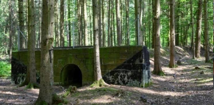 Ghostly Nazi-era motorway resurfaces in German forest