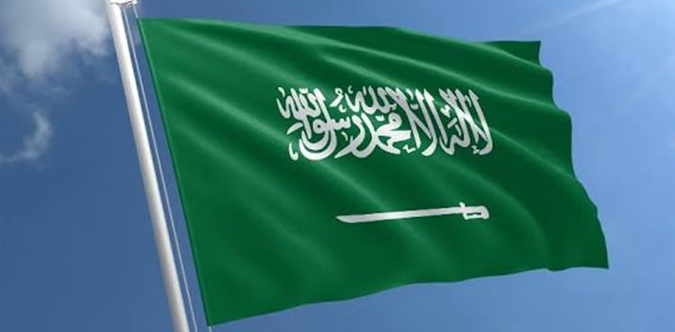 Saudi Arabia praises European countries' recognition of Palestine state