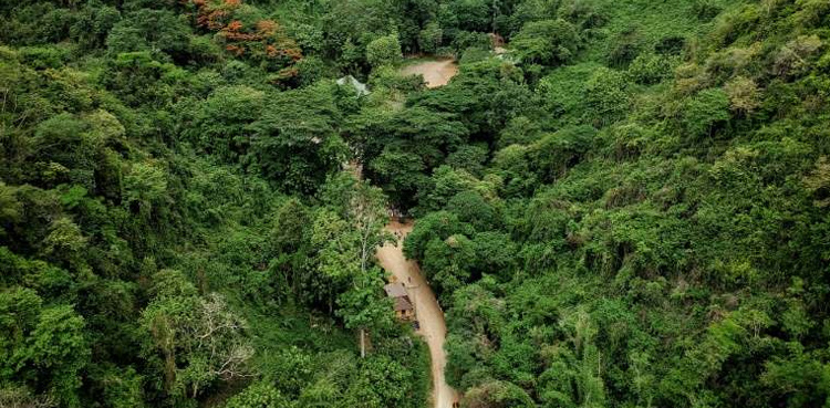 Thai cave reopens for visitors after Wild Boars rescue