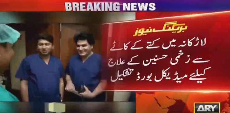 10-member medical board to treat Larkana dog-bite victim