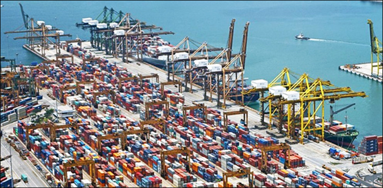 Report cases of abuse and harassment to FBR, Zaidi asks importers