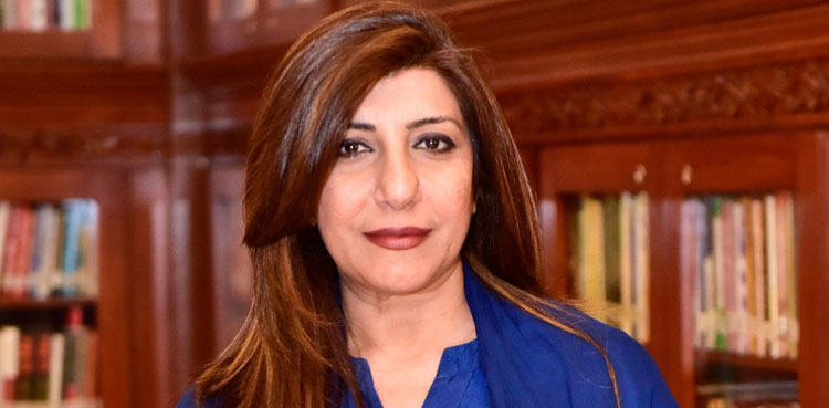 Foreign Office rejects Indian army chief remarks against Pakistan