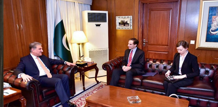 FM Qureshi reaffirms Pakistan's role for Afghan peace
