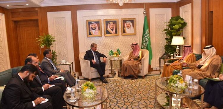 FM Qureshi discusses Kashmir issue, regional security with Saudi counterpart  